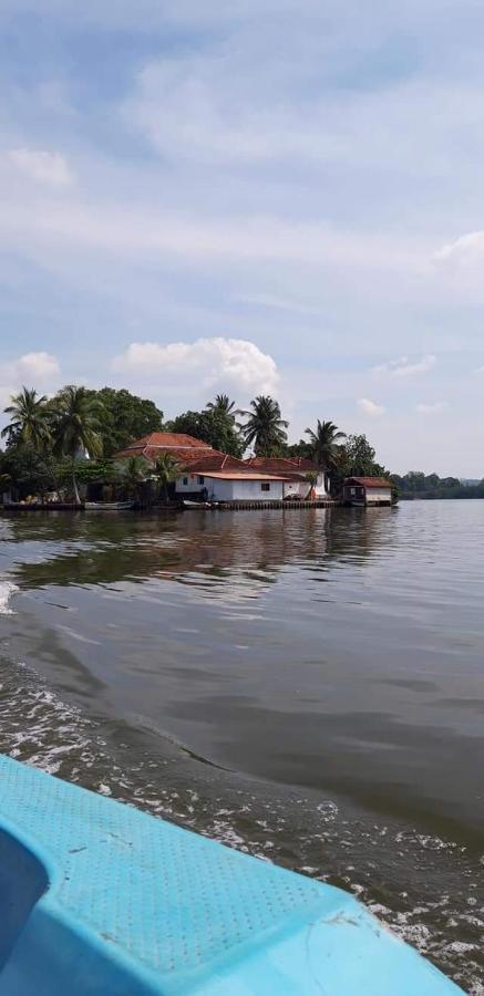 Rashmi Homestay Balapitiya Extérieur photo